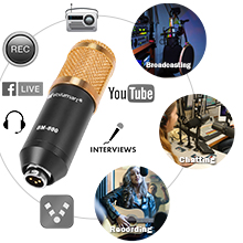 TOLEAP Microphone